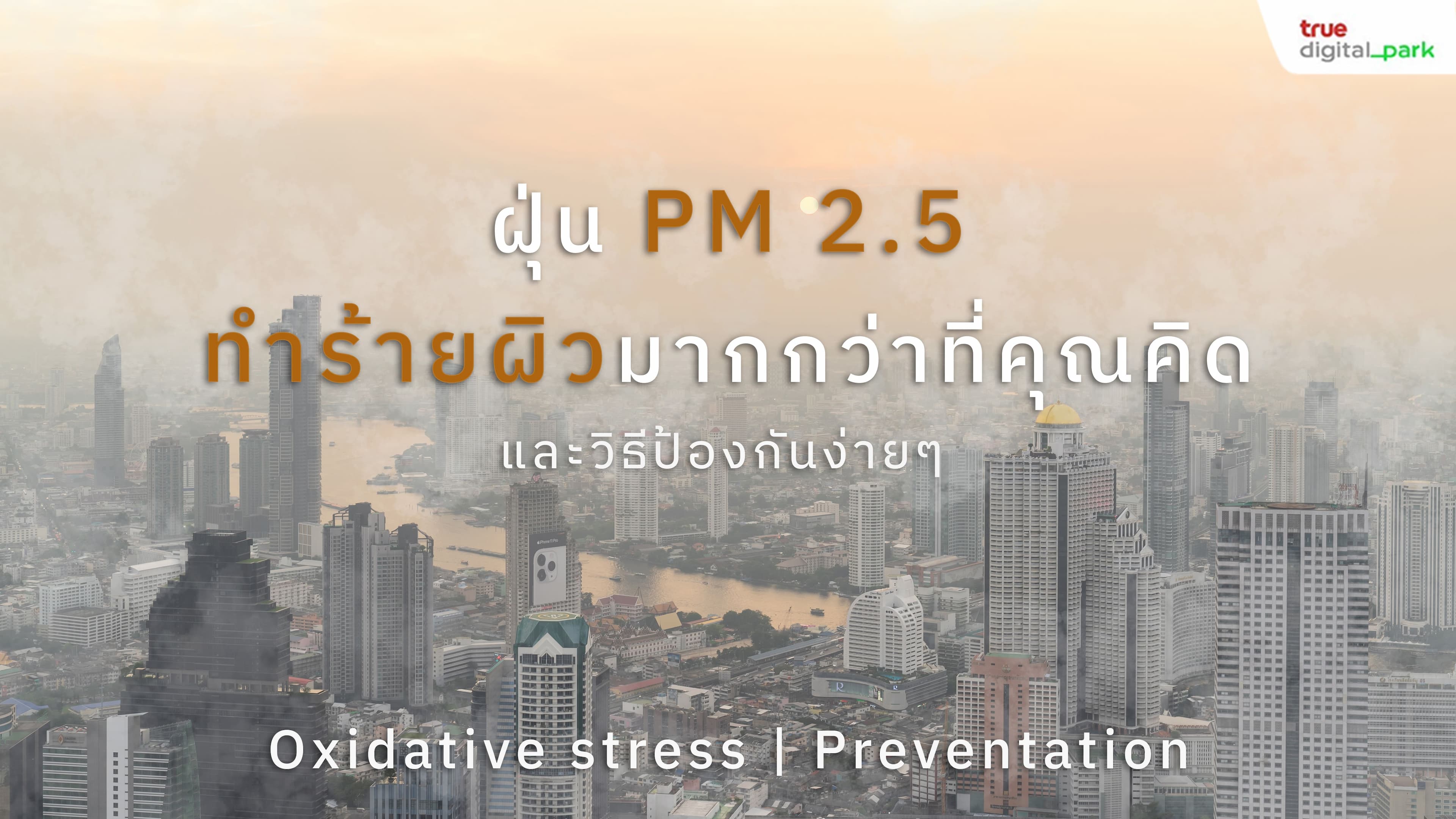 PM 2.5 ฝุ่นที่ทำร้ายผิวมากกว่าที่คุณคิด และวิธีป้องกันง่ายๆ