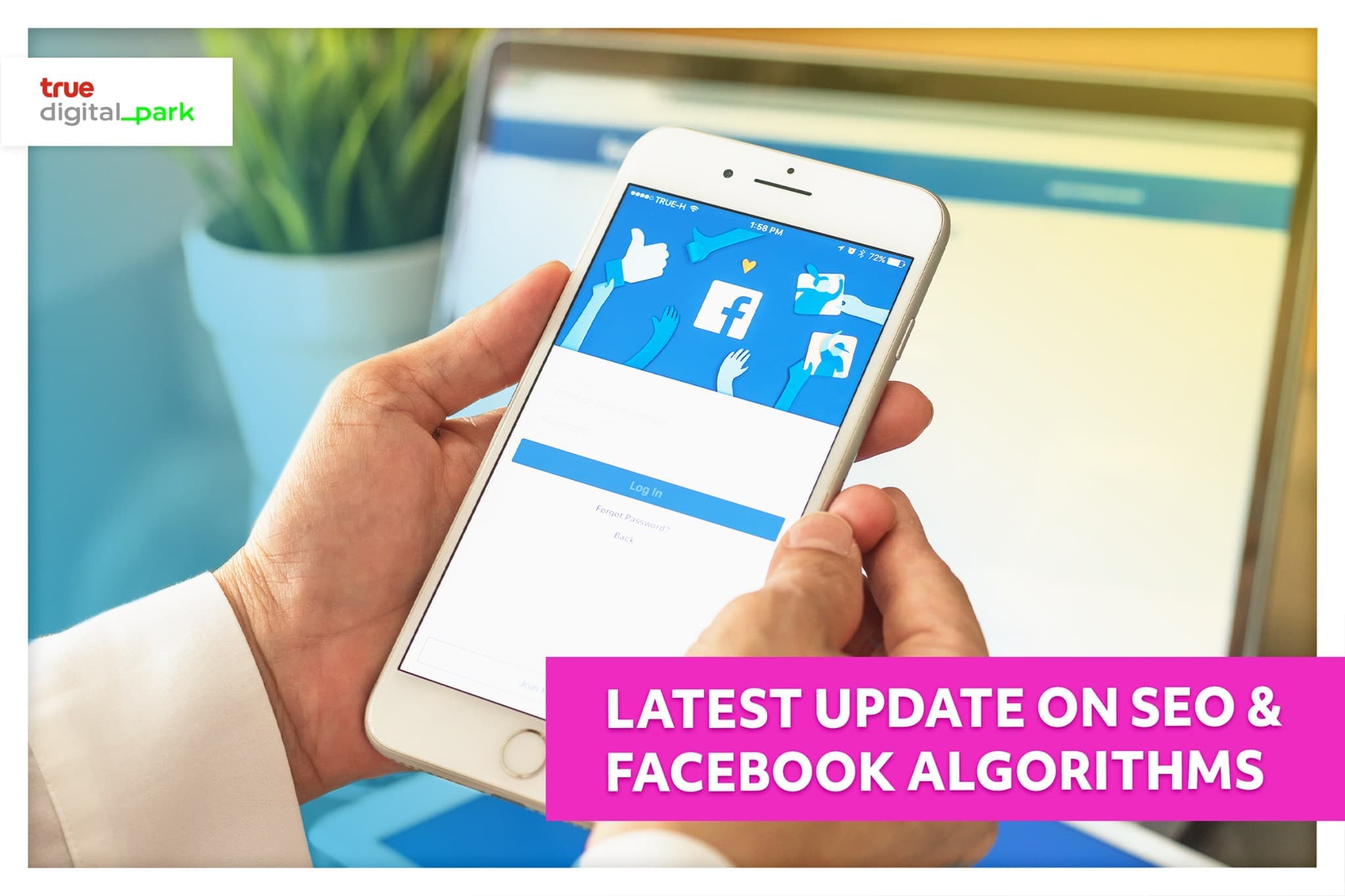 Latest update on SEO and Facebook algorithms